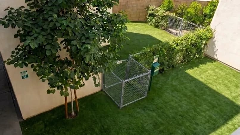Courtyard